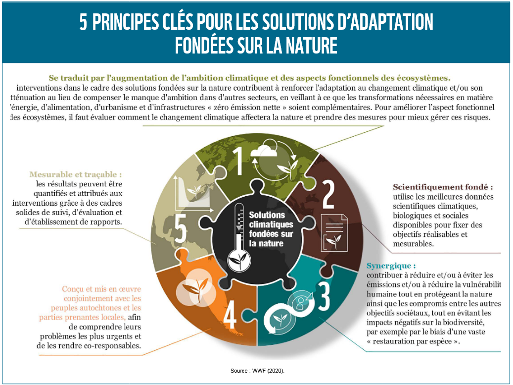 5 principes clé pour les SFN