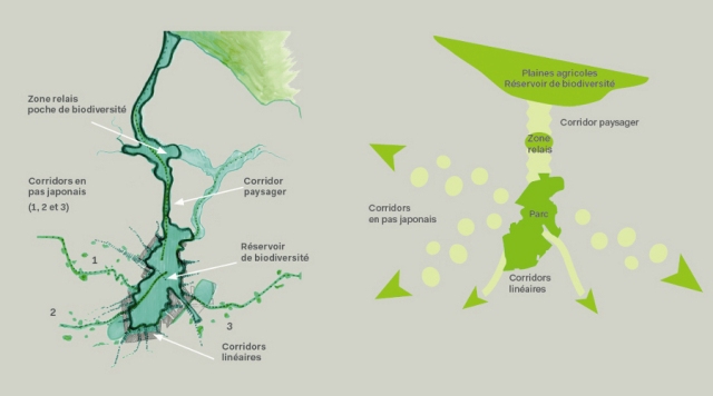 Le réseau écologique du Central Park du Grand Paris – Source : CDU -Castro Denissof & associés- LesEnR