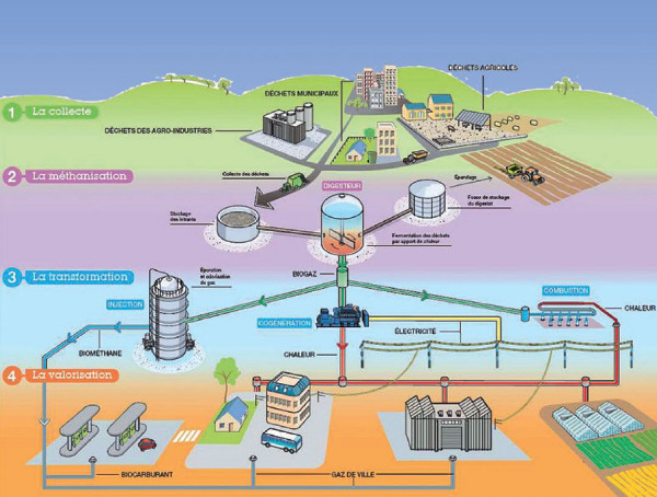 schema fonctionnement unite de methanisation