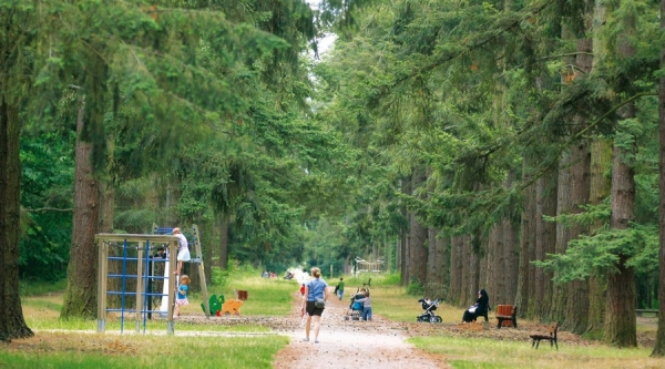 ORLEANS  (45) - Etude d’impact environnemental du quartier NPRU de la Source