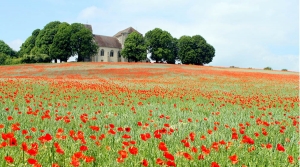 PCAET de la Communauté de Communes des Deux Morin (77)