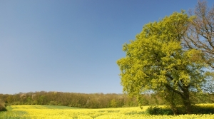 Communauté de communes des Sablons (60) - Elaboration du PCAET de la Communauté de communes des Sablons (60)