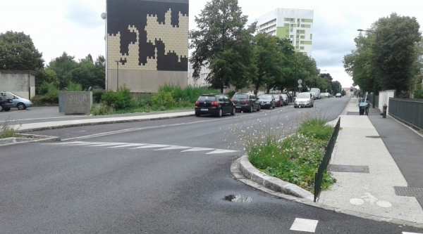 ORLEANS Métropole (45) - Etude d’impact environnemental du quartier NPRU de l’Argonne