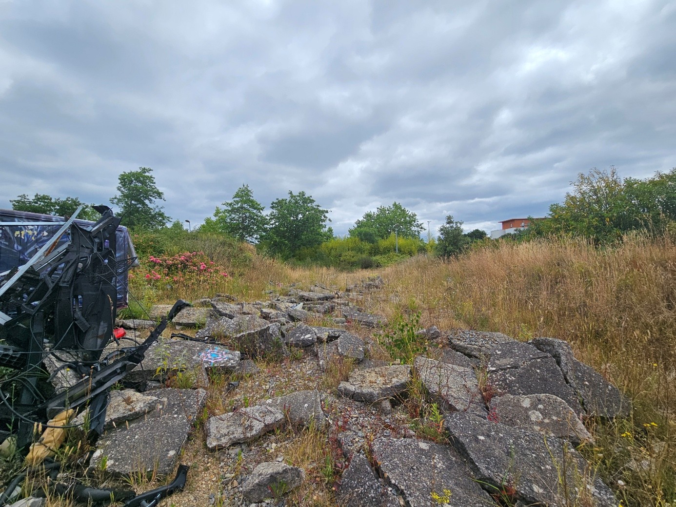 metier biodiversite renaturation1