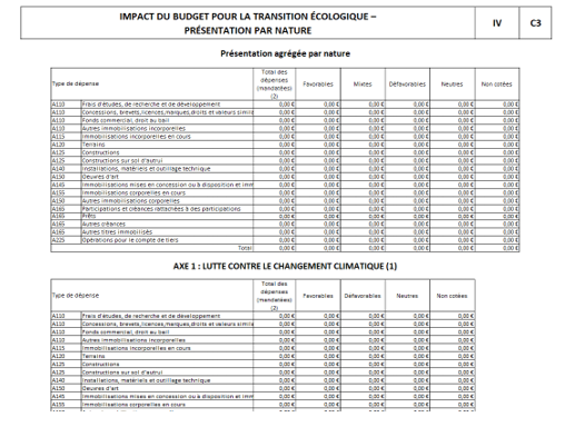 Budgetvert2